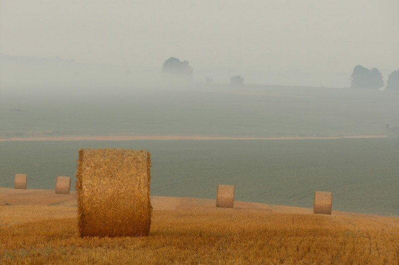 campo1